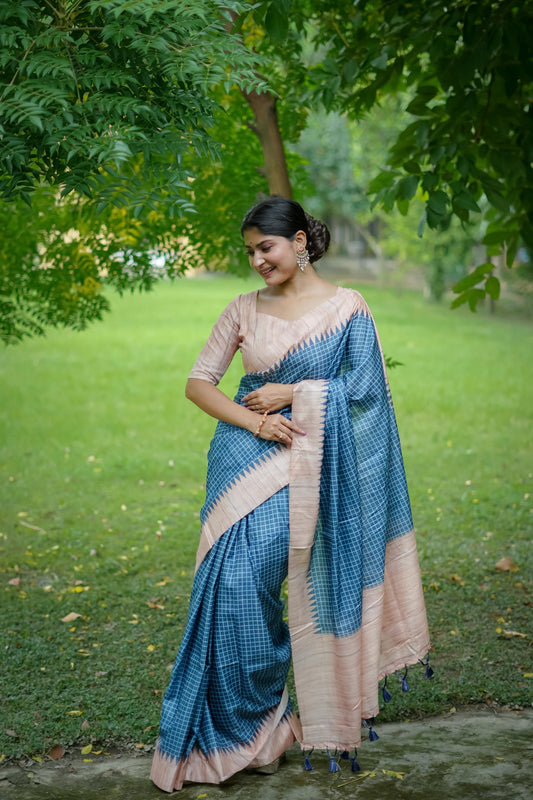 Aarita Authentic Ikkat Handloom Saree- BLUE