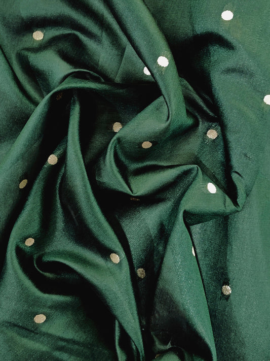 Banarasi Paithani Saree Design with Traditional Kalpavalli Pattern-BT GREEN