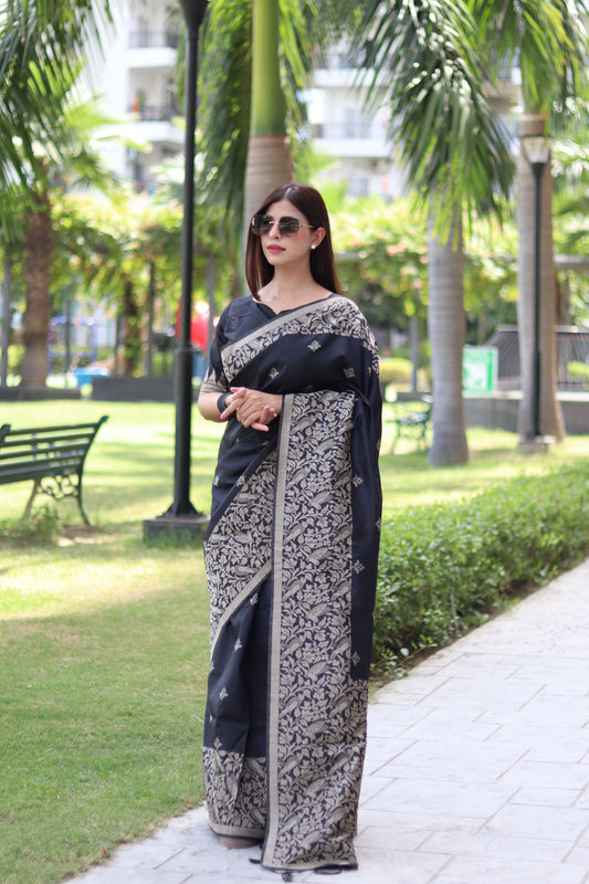 Handloom raw silk saree - BLACK