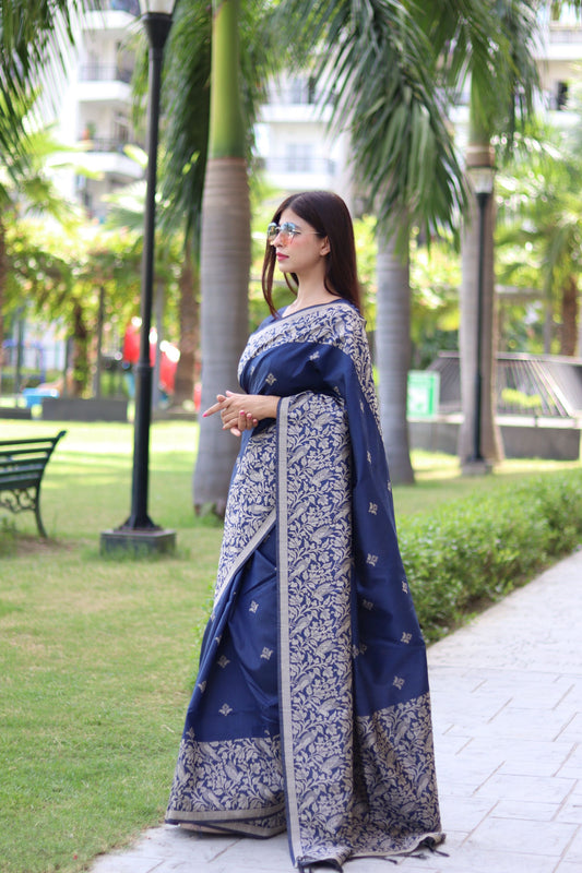 Handloom raw silk saree - BLUE
