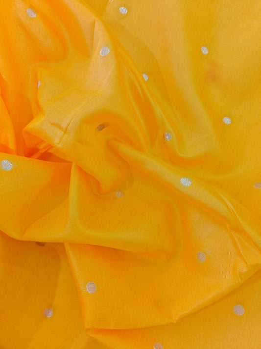 Banarasi Paithani Saree Design with Traditional Kalpavalli Pattern-YELLOW