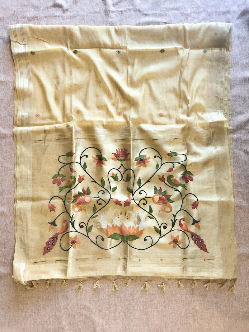 MUGA COTTON
