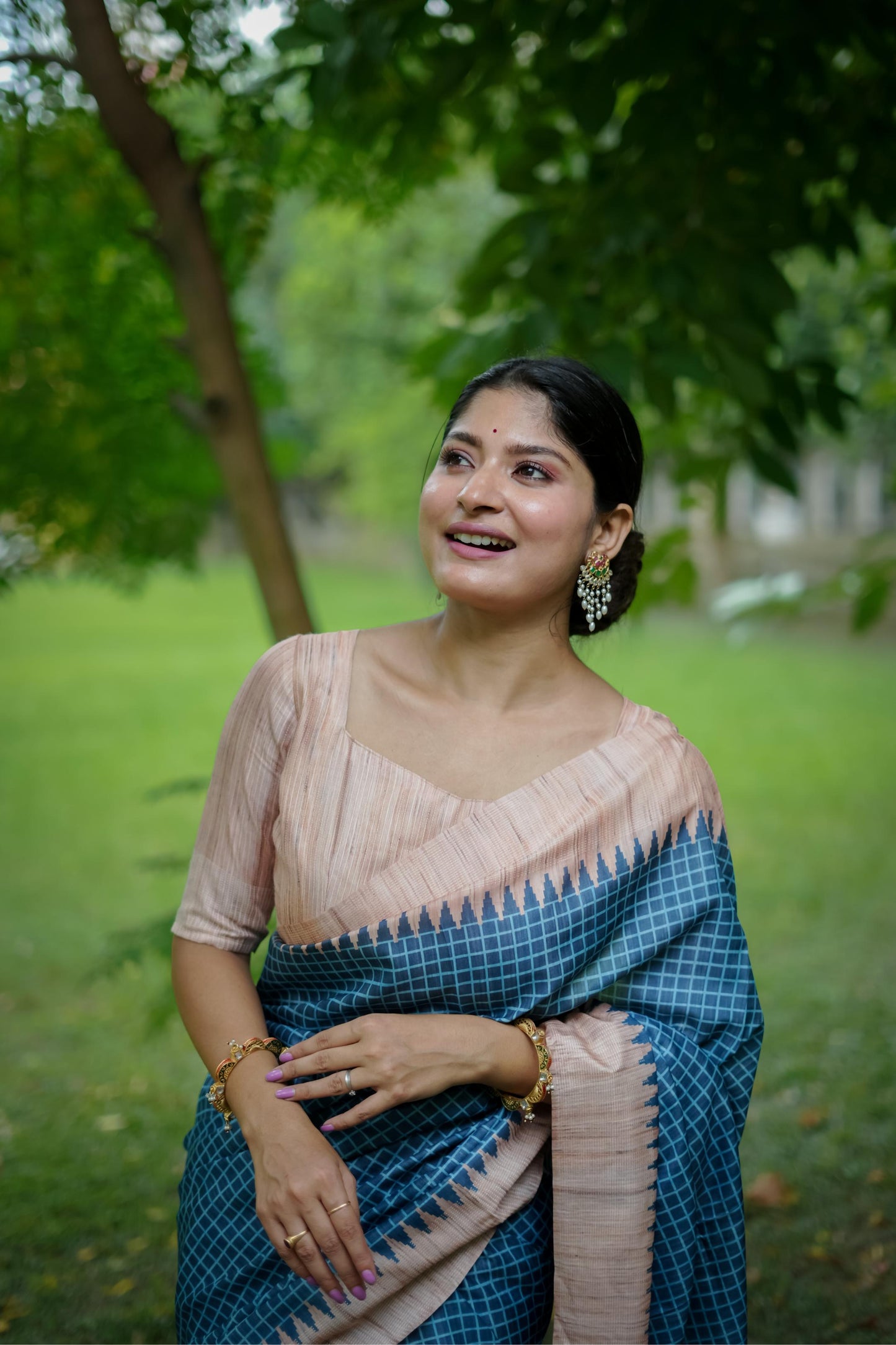 Aarita Authentic Ikkat Handloom Saree- BLUE