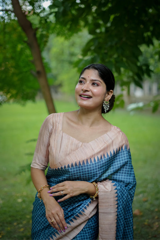 Aarita Authentic Ikkat Handloom Saree- BLUE