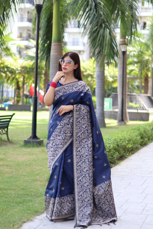 Handloom raw silk saree - BLUE