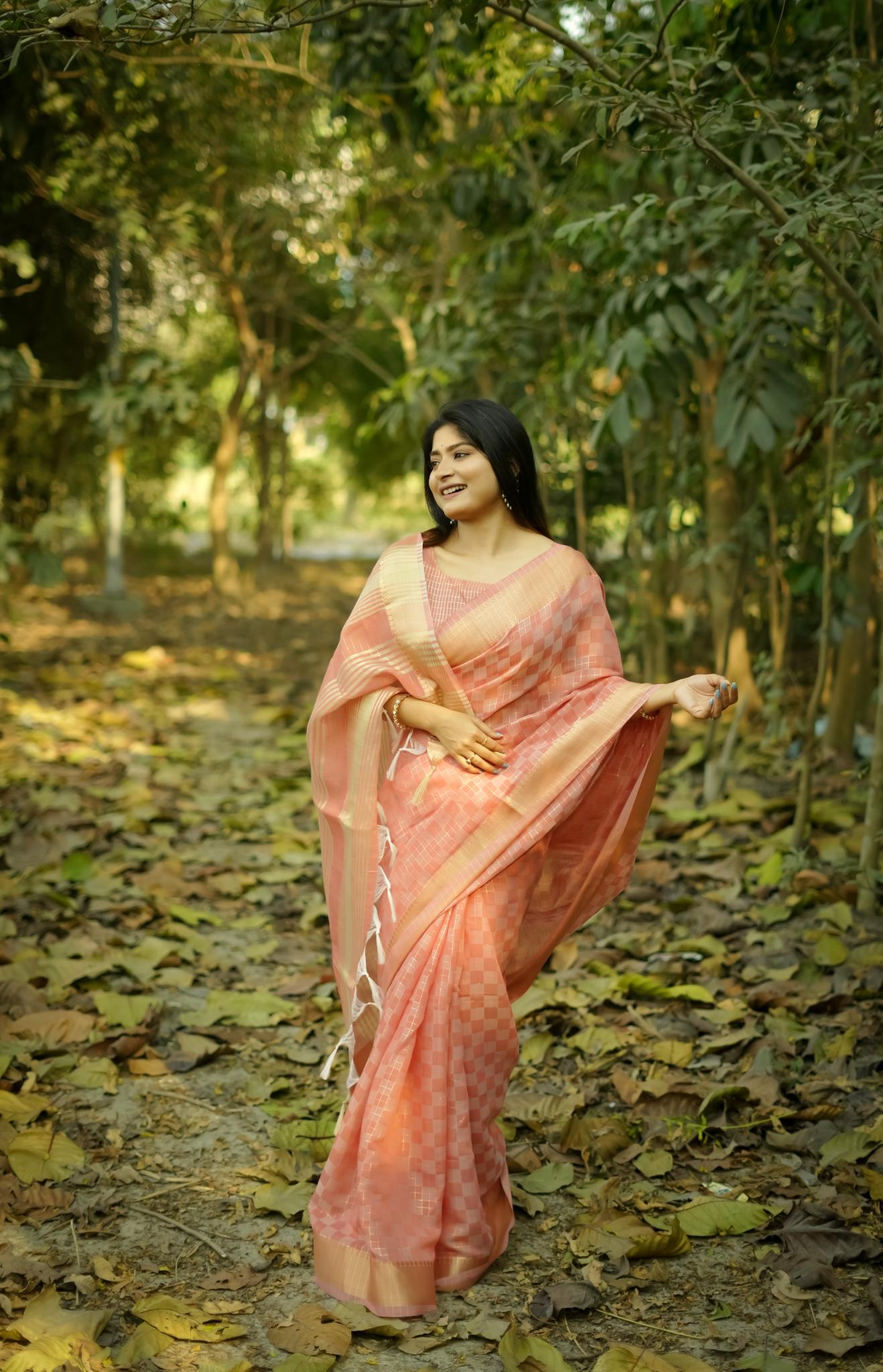Tissue Zari Checks Soft Silk Saree - GAJRI