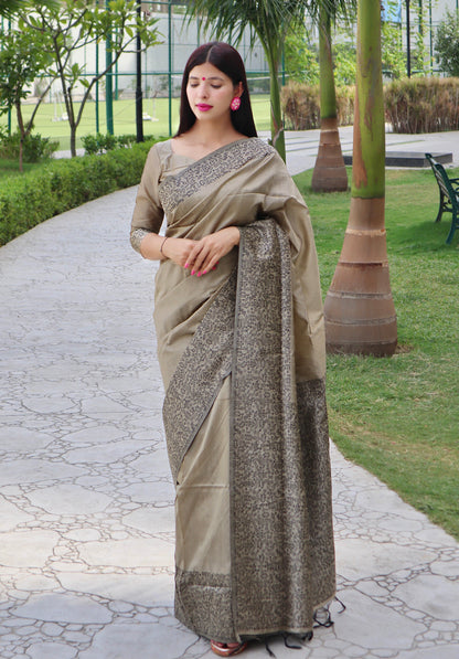 Handloom raw silk saree - CHIKU