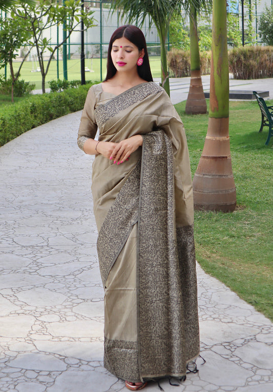 Handloom raw silk saree - CHIKU