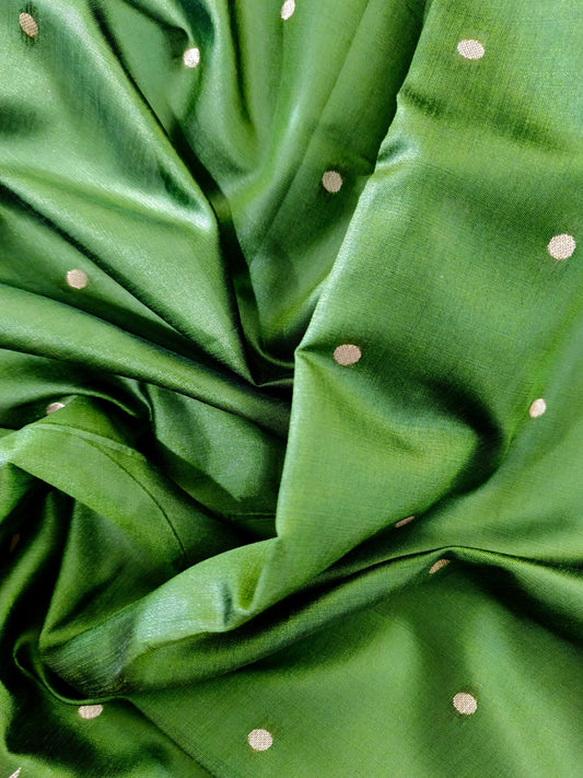 Banarasi Paithani Saree Design with Traditional Kalpavalli Pattern-MAHENDI