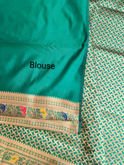 BANARASI PAITHANI 102 - PERROT