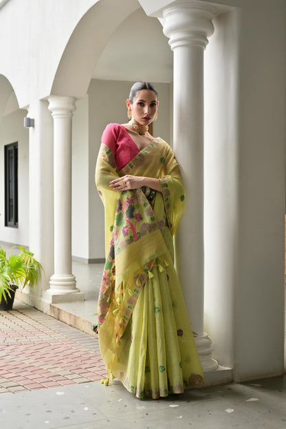 Premium Chanderi Cotton Handloom Saree- PISTA