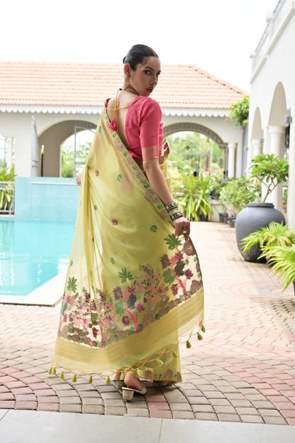 Premium Chanderi Cotton Handloom Saree- PISTA