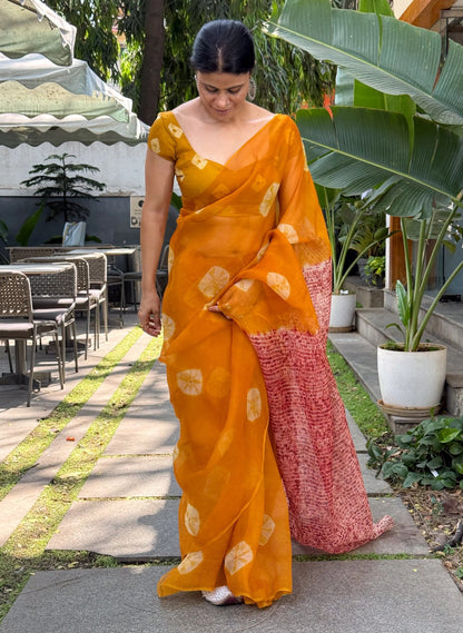 Handloom Organza Silk Saree In Kumo With Tesuji Shibori In Natural Dyed