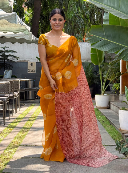 Handloom Organza Silk Saree In Kumo With Tesuji Shibori In Natural Dyed
